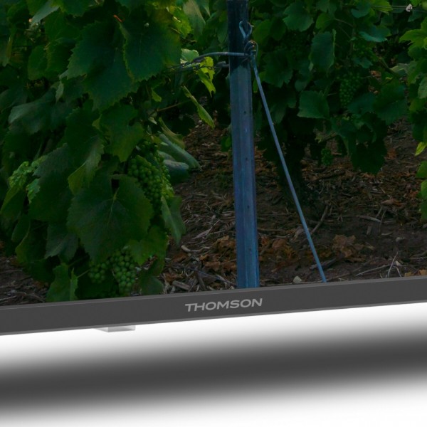 Фото - Телевизор Thomson 55QA2S13