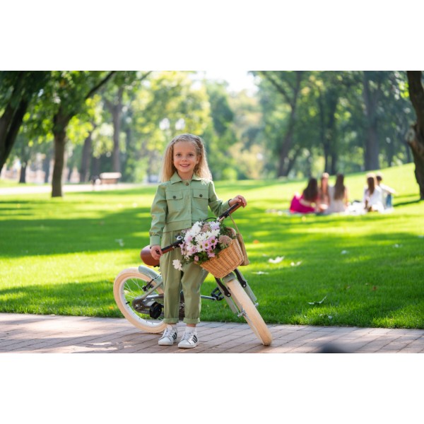 Фото - Двухколёсный велосипед Miqilong RM Olive 16'' (ATW-RM16-OLIVE)