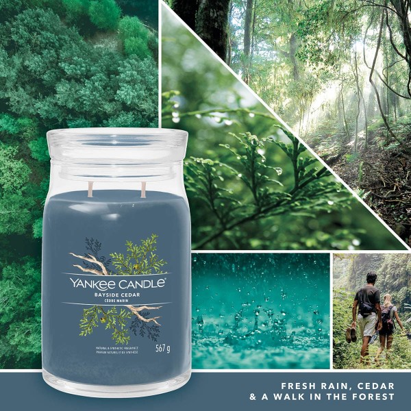 Фото - Свічка скло Yankee Candle Large Bayside Cedar 567 г (1629980E)