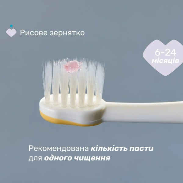 Фото - Зубная щетка мануальная детская Chicco 6-36 міс. 2 шт. (девочка) (12082.00)