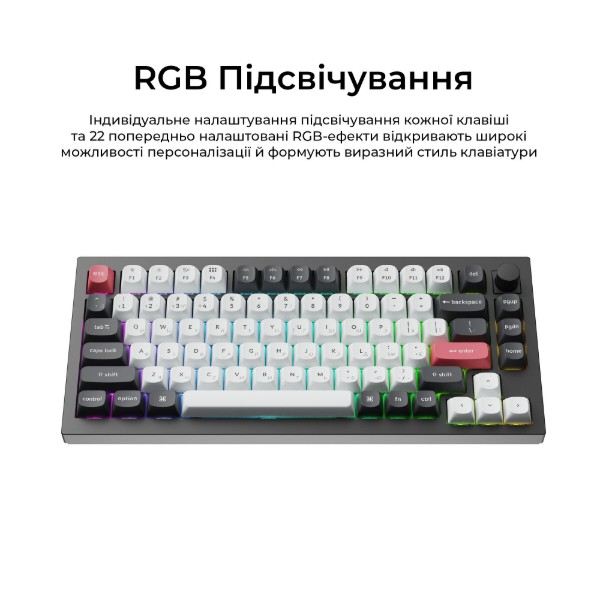 Фото - Клавиатура беспроводная Keychron Q1 HE Magnetic Switch Black RGB (Q1H-M1-UA)
