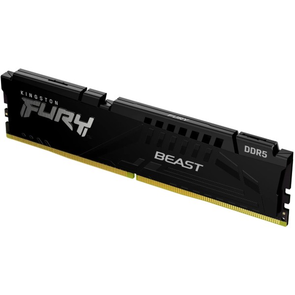 Фото - Память DDR Kingston FURY Beast Black DDR5-6000 16GB CL30-36-36 1.4V EXPO (KF560C30BBE-16)