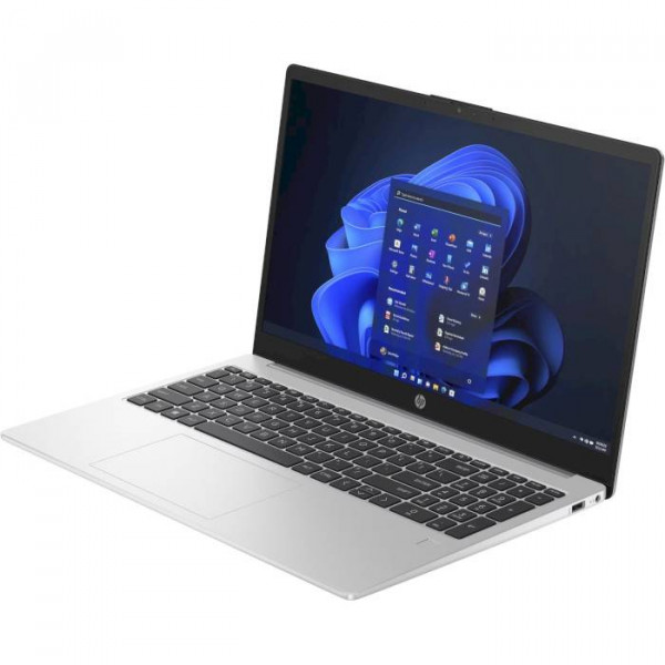 Фото - Ноутбук HP 255-G10 (9G8F3ES) Turbo Silver