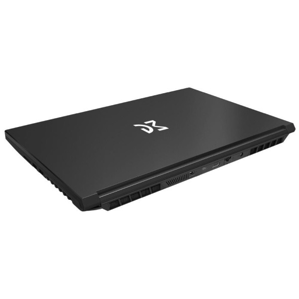 Фото - Ноутбук ігровий Dream Machines CI7-13620H (RG4050-15UA61) Black