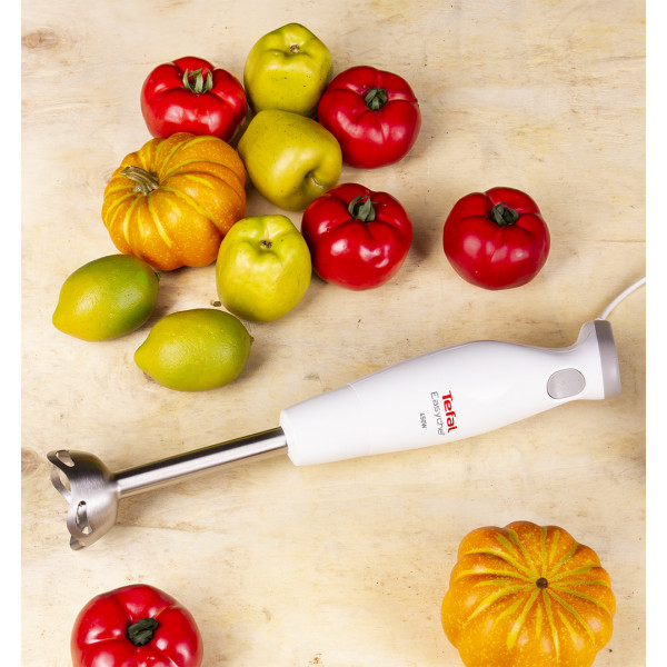 Фото - Блендер погружной Tefal HB453138