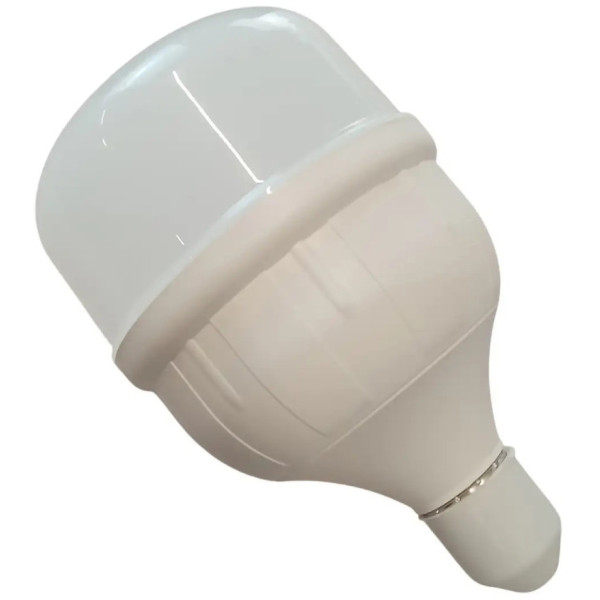 Фото - Лампочка светодиодная Grunhelm Long-Life R2.0 LED - T100-30W-65K-E27