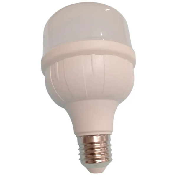 Фото - Лампочка светодиодная Grunhelm Long-Life R2.0 LED - T100-30W-65K-E27