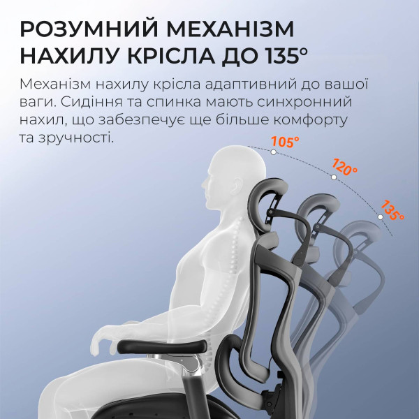 Фото - Крісло офісне Sihoo DORO C300 Pro Mesh Black with footrest (DORO-C300-PRO-M101-JT)