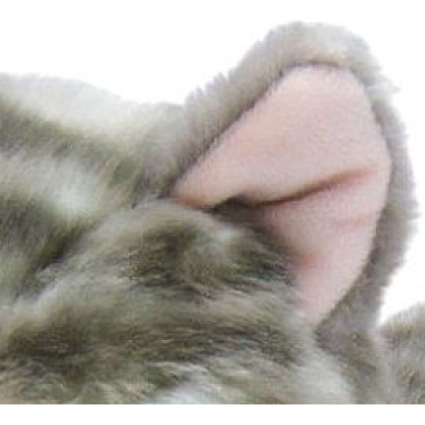 Фото - М'яка іграшка Aurora Кошеня сірий 25 см (150224F)