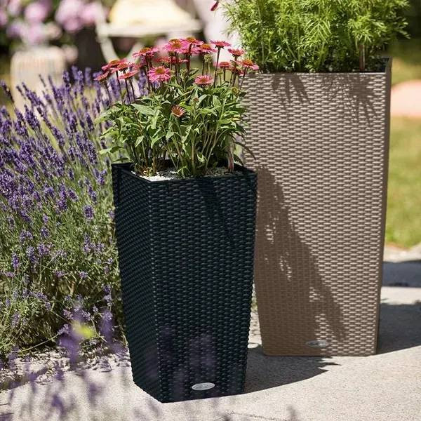 Фото - Вазон Lechuza Cubico Cottage 30 граніт (15222)