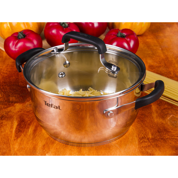 Фото - Набор посуды Tefal E493S874 Cook&Cool 8 пр., 18/20/24 см, сотейник 16 см с/кр