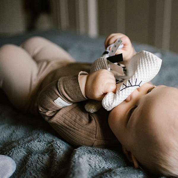 Фото - Брязкальце BabyOno Обіймашка з шурхотінням Маленька пташка (1536)