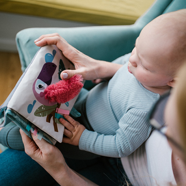Фото - Книжка-іграшка BabyOno Сафарі (1564)