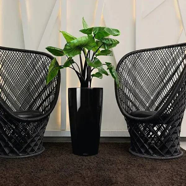 Фото - Вазон Lechuza Рондо Преміум 32 Антрацитовий матовий (15781)