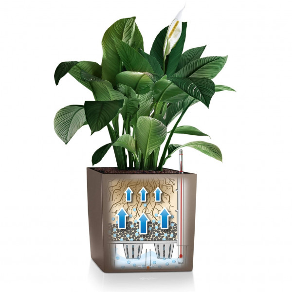 Фото - Вазон Lechuza 40/40/40 Cube Premium Білий 16360