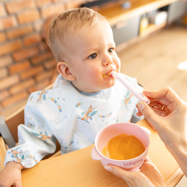 Фото - Тарілка для малюка BabyOno з присоскою та кришечкою Рожева (1662/02)