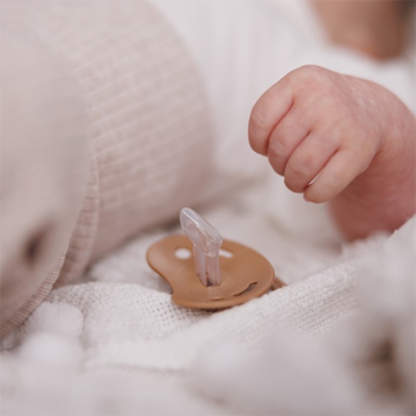 Фото - Анатомическая пустышка BabyOno 0-6 мес. бежевая/коричневая (1670/01)