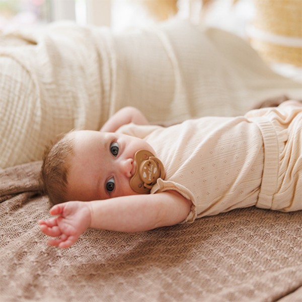 Фото - Анатомическая пустышка BabyOno 0-6 мес. бежевая/коричневая (1670/01)