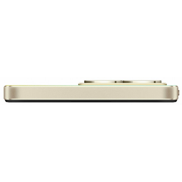 Фото - Смартфон realme C53 8/256Gb Gold