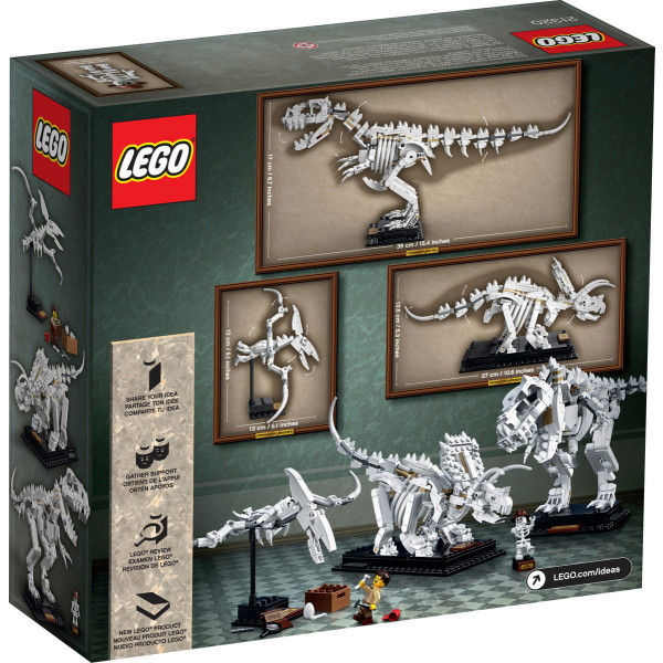 Фото - Конструктор LEGO Ideas Останки динозавра (21320)