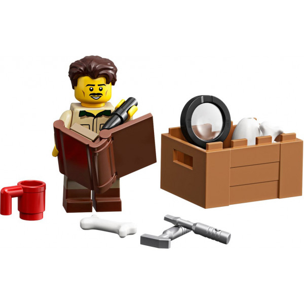 Фото - Конструктор LEGO Ideas Останки динозавра (21320)