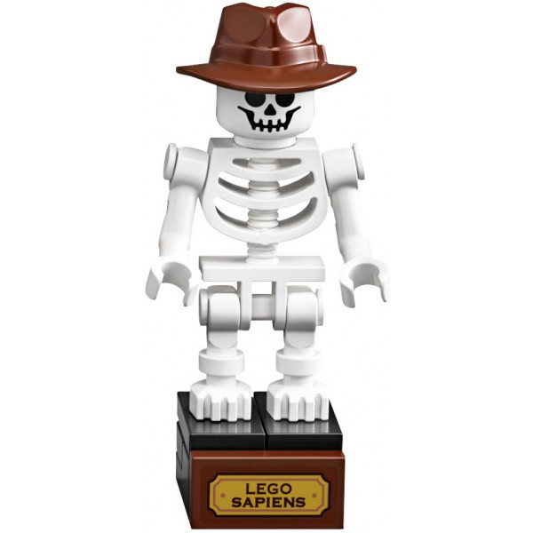 Фото - Конструктор LEGO Ideas Останки динозавра (21320)