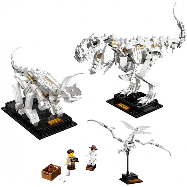 Фото - Конструктор LEGO Ideas Останки динозавра (21320)