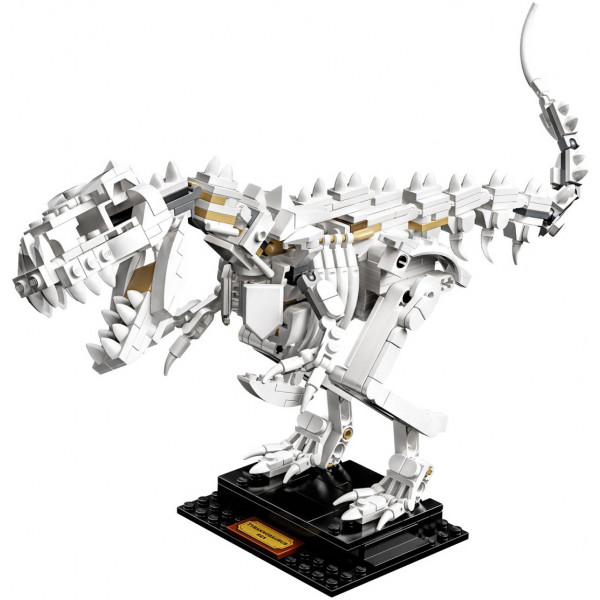 Фото - Конструктор LEGO Ideas Останки динозавра (21320)