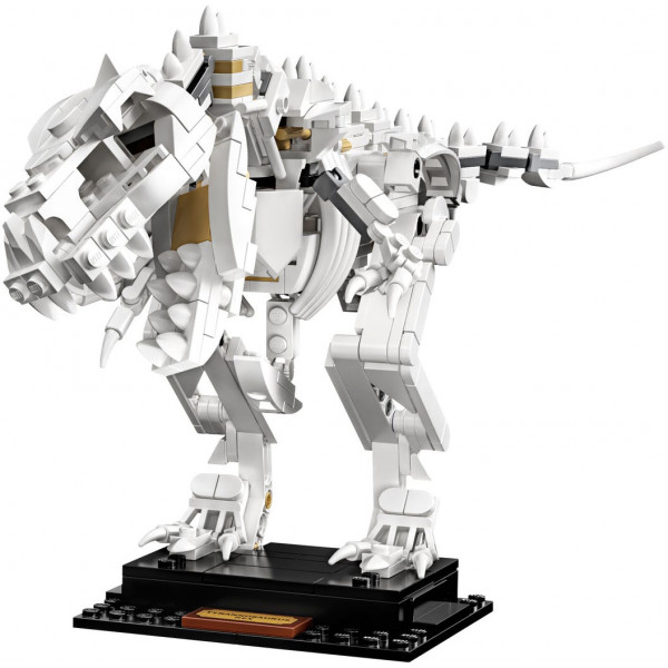 Фото - Конструктор LEGO Ideas Останки динозавра (21320)