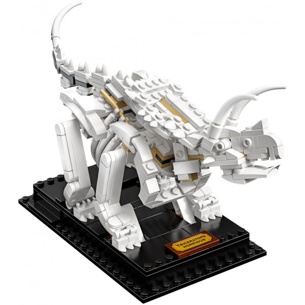 Фото - Конструктор LEGO Ideas Останки динозавра (21320)