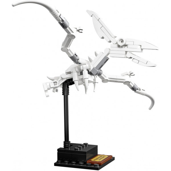Фото - Конструктор LEGO Ideas Останки динозавра (21320)