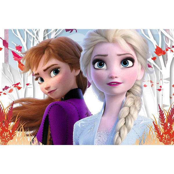Фото - Пазли (3-4 роки) Trefl Frozen Зачарований світ Анни та Ельзи 60 ел. (73338)