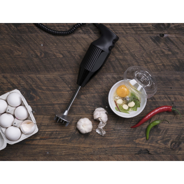 Фото - Блендер заглибний Bamix BBQ M200 Black (1002.021)