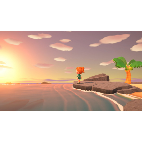 Фото - Ігровий картридж Nintendo Animal Crossing: New Horizons [Nintendo Switch]