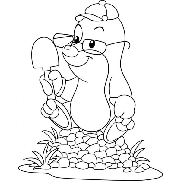 Фото - Раскраски ArtCraft Крот 25х30 см (15116-AC)