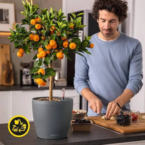 Фото - Вазон Lechuza CLASSICO Color ECO 35 серый 18933