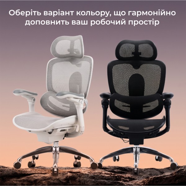 Фото - Кресло офисное Sihoo Black (C300-PRO-V2-B101)
