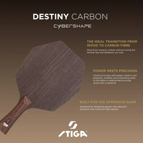 Фото - Основа для ракетки Stiga Destiny Carbon Cybershape Master (1600-2602-35)