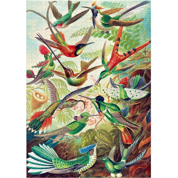 Фото - Пазлы (8+) Good Loot Imagination: Ernst Haeckel Hummingbirds/Kolibry 1000 шт. (5908305246794)