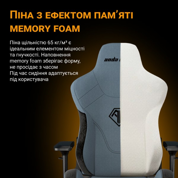 Фото - Крісло для геймерів Anda Seat T-Pro 2 Blue/Black Size XL (AD12XLLA-01-SB-F)