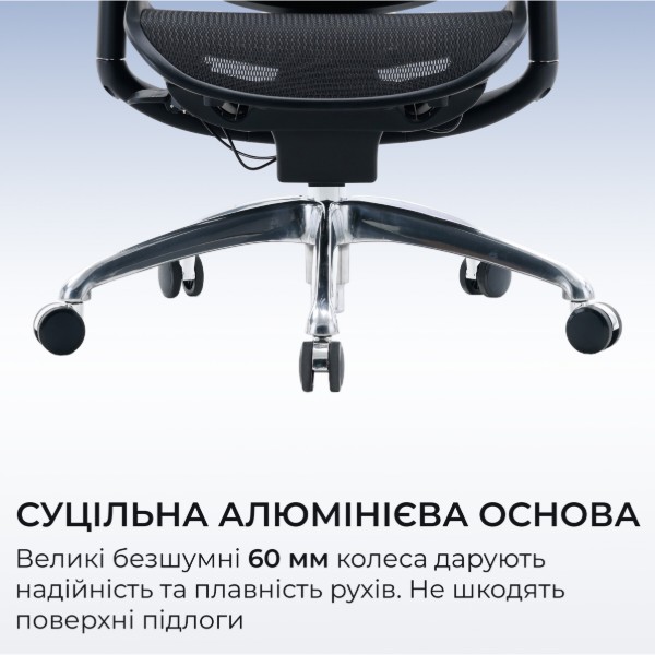 Фото - Кресло офисное Sihoo Black (C300-PRO-V2-B101)