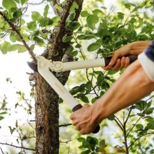 Фото - Сучкоріз Fiskars White L32 (1026930)