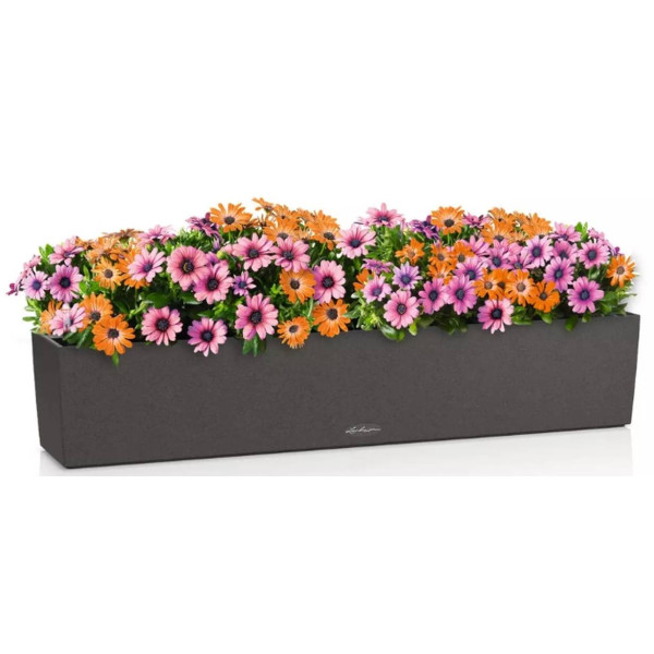 Фото - Вазон Lechuza Stone 100 графитово-черный 15436