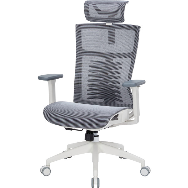 Фото - Крісло офісне OfficePro Balance (OC620-W-DG-DG) White/Dark Gray