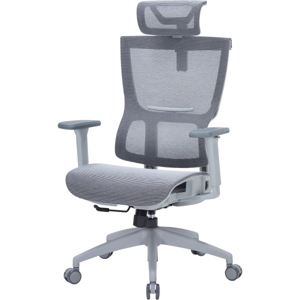 Фото - Крісло офісне OfficePro Elegant (OC660-G-DG-DG) Gray/Dark Gray