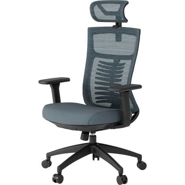 Фото - Крісло офісне OfficePro Balance (OC550-B-DG-DG) Black/Dark Gray