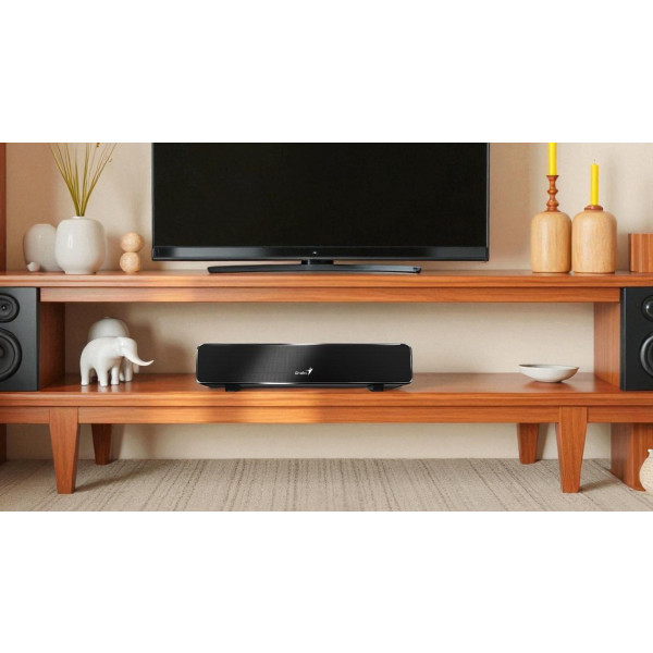 Фото - Саундбар Genius 100 (31730024400) Black