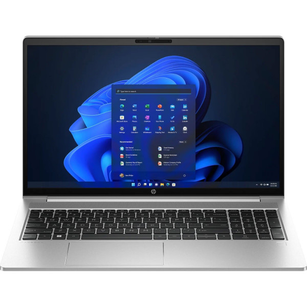 Фото - Ноутбук HP ProBook 450 G10 (9G1W9ET) Pike Silver