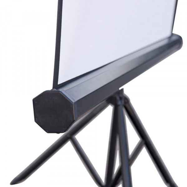 Фото - Екран ATRIA TRM-NTSC-60D