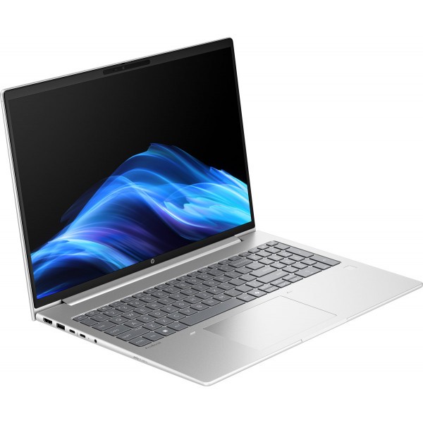 Фото - Ноутбук HP ProBook 4 G1a (AX7D4AV_V1) Pike Silver